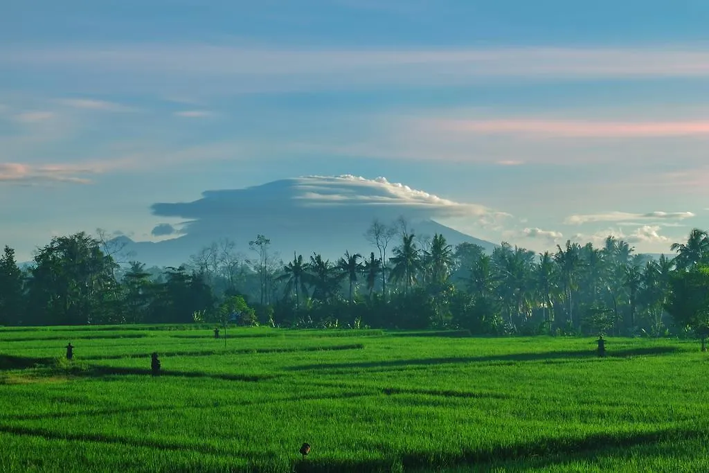 **  Putra Guest House Ubud  Indonesia